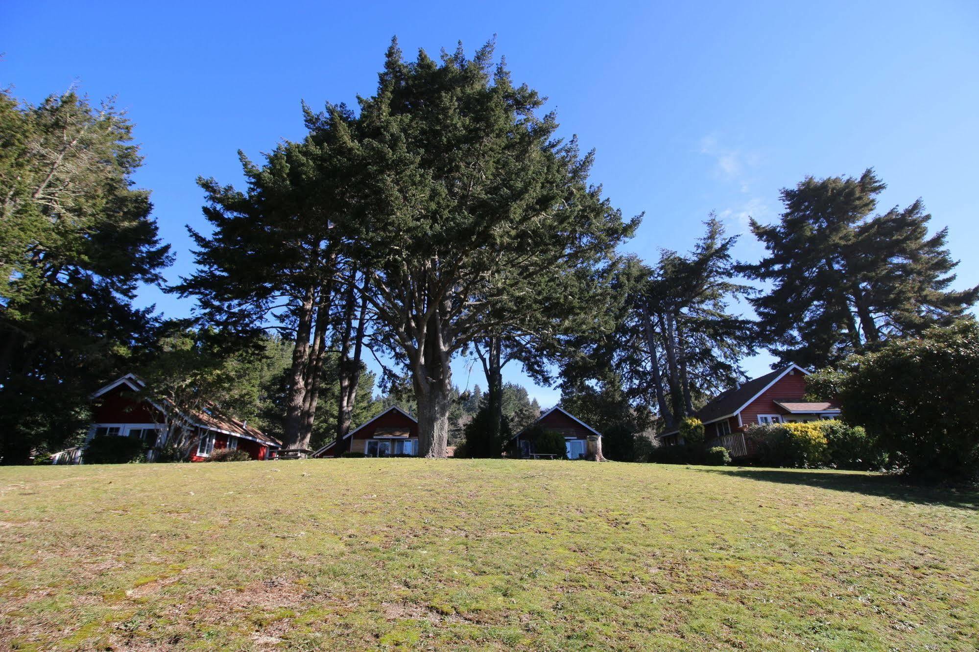 טרינידד View Crest Lodge מראה חיצוני תמונה