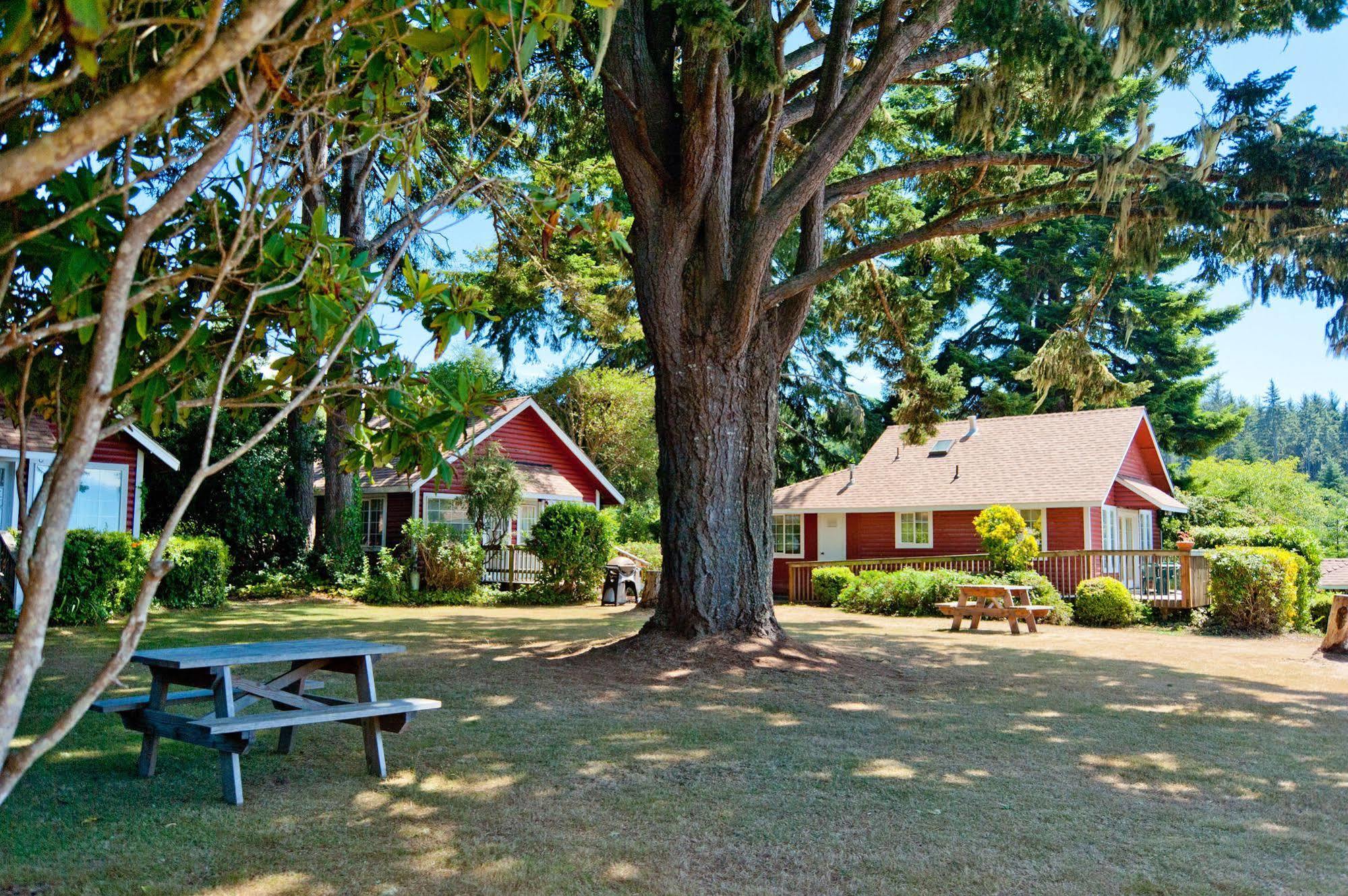 טרינידד View Crest Lodge מראה חיצוני תמונה